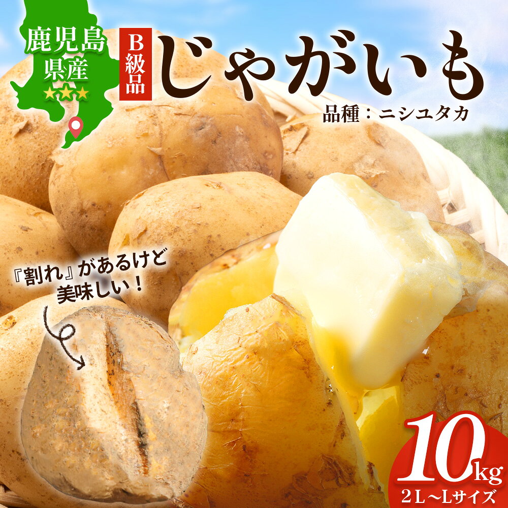 【ふるさと納税】【先行予約】【B級品】(割れ) じゃがいも 馬鈴薯 (バレイショ) ≪2L～L≫ 約10kg×1箱 /品種ニシユタカ (約30個) ≪2026年3月20日頃より順次発送≫ CS-2 | 家庭用 南大隅町産 産地直送 旬 ポテト ジャガイモ ばれいしょ 新じゃが 春じゃが 春作 国産 鹿児