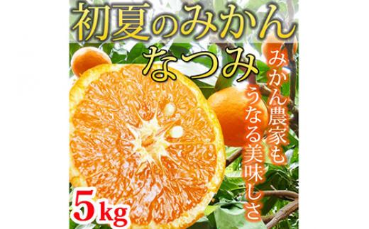 
            初夏のみかん なつみ５kg ふるさと納税 みかん
※着日指定不可
※2026年4月中旬頃〜2026年4月下旬頃に順次発送予定
          
