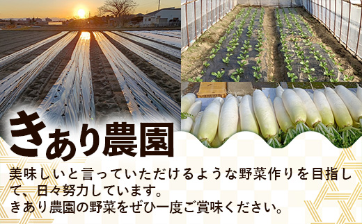 【きあり農園】2026年度 幸手市産 かぼちゃ 約10kg - カボチャ 南瓜 くり大将 くり将軍 産地直送 野菜 ベジタブル 美味しい おいしい 緑黄色野菜 大容量 国産 おすすめ 送料無料 埼玉県