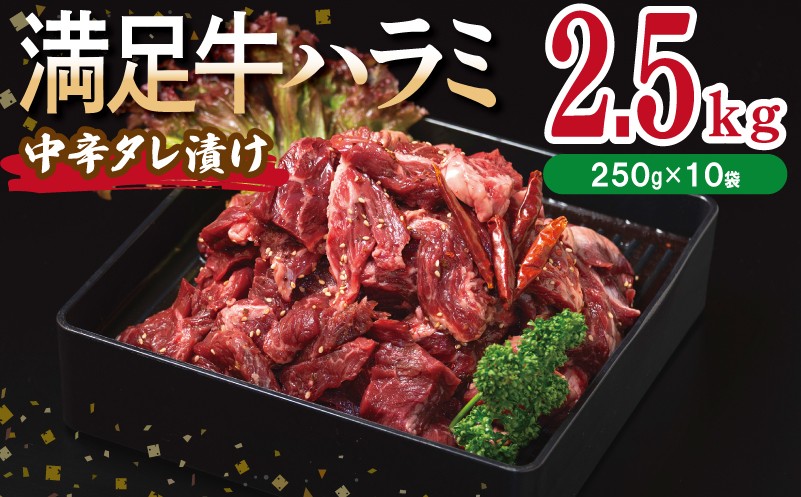 
            【満足牛ハラミ】中辛タレ漬け 合計2.5kg 【味付け ハラミ 小分け 焼くだけ 簡単調理 BBQ 牛肉 250g×10P】
          