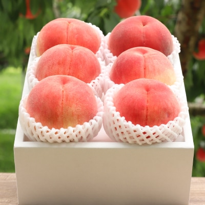 山梨県山梨市産　旬の採れたて高糖度桃　約5kg(13～20玉)【配送不可地域：離島・沖縄県】