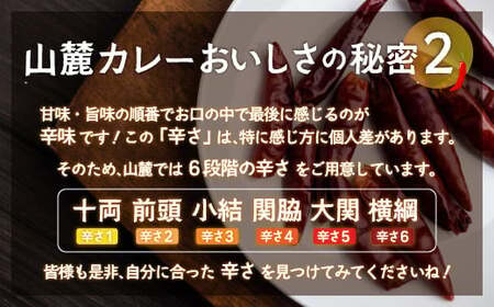 また食べたくなるカレー！＜木更津山麓カレー＞関脇・大関・横綱・特製玉ねぎドレッシングセット