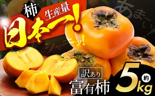 シャキッと甘い！ 訳あり 富有柿 約 5kg | フルーツ くだもの 果物 柿 かき カキ  奈良県 五條市 訳あり 家庭用 自宅用 どっさり たっぷり 種なし 種無し 種なし柿 産地直送 国産 人気 送料無料 グルメ お取り寄せ 大容量 ビタミン 食物繊維 豊富 秋 旬 奈良県 五條市