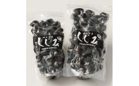 厳選！網走湖産大粒天然大和しじみ2.5kg 【 ふるさと納税 人気 おすすめ ランキング しじみ シジミ 蜆 貝 しじみ貝 シジミ貝 蜆貝 海鮮 ダシ汁 味噌汁 2.5kg 新鮮 冷凍 料理 網走湖 