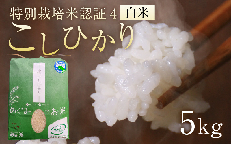 
            【令和6年産】福井県産特別栽培米認証4こしひかり 白米5kg
          