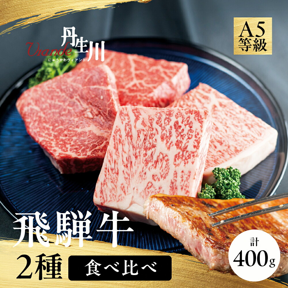 【ふるさと納税】2種食べ比べ ステーキ！ 飛騨牛 A5等級 ステーキ 400g (サーロイン200g＋もも200g) | 黒毛和牛 ブランド牛 人気 おすすめ 真空パック 丹生川精肉 【90周年】JJ008VP