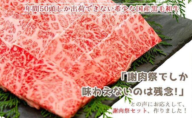 土佐はちきん地鶏600g （300g×2）大川黒牛180g 大川村謝肉祭のたれ400g 塩30g ポン酢200ml 地鶏 詰合せ もも肉 モモ むね肉 ムネ 胸肉 鶏肉 とり肉 とりにく 肉 高知県 