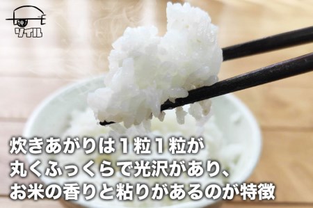 【2024年先行予約 9月末から発送】令和6年産 新米 飛騨古川産　特別栽培米　こしひかり　5kg 特A [Q1858_24]