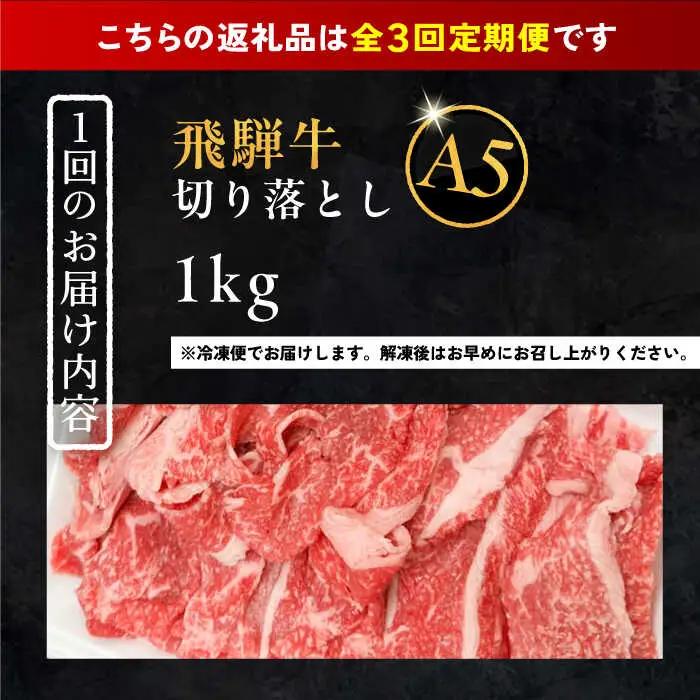 【3回定期便】 飛騨牛 切り落とし肉 A5ランク 500g×2パック (1kg) / 恵那市 / 岩島屋 [AUAJ033]