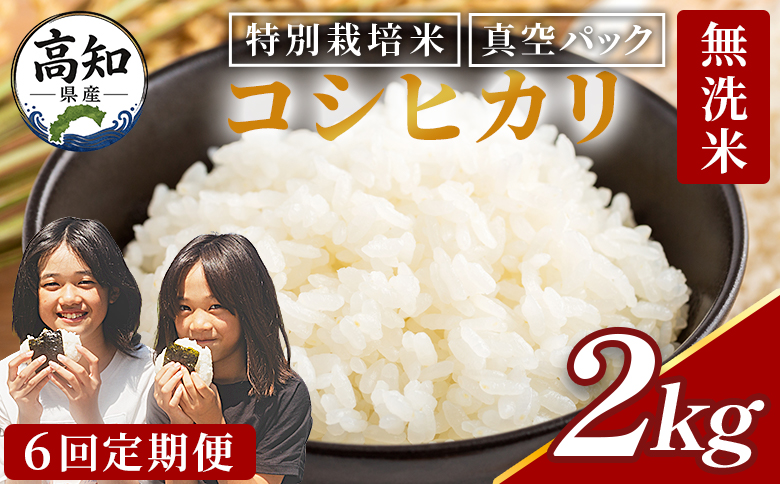 無洗米 2kg 【6回定期便】令和8年産 高知県香南市産 特別栽培米 コシヒカリ 2kg - 国産 米 お米 こしひかり 白米 どうぞ ごはん おにぎり ご飯 防災 非常食 備蓄 kome 高知県 香南市 常温 Wnu-0014