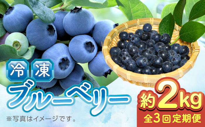 【全3回定期便】【加工用】冷凍ブルーベリー 2kg 熊本県産ブルーベリー 山都町産 フルーツ スムージー 果物 小分け 国産【「のん気・元気」百姓家】 [YAL029]