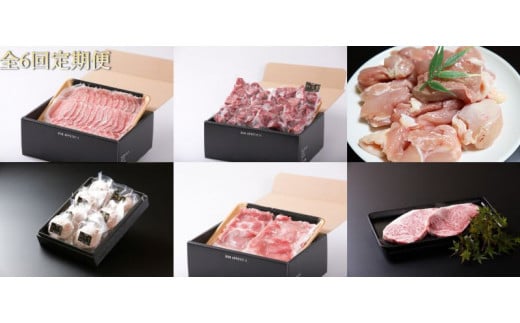 
            【定期便セット】【全6回】佐賀県産牛豚鶏肉三昧6kgコース(佐賀牛サーロインステーキ/佐賀牛ヒレサイコロステーキ/佐賀牛ハンバーグ/豚ローススライス/豚ももスライス/ありたどり もも)
          