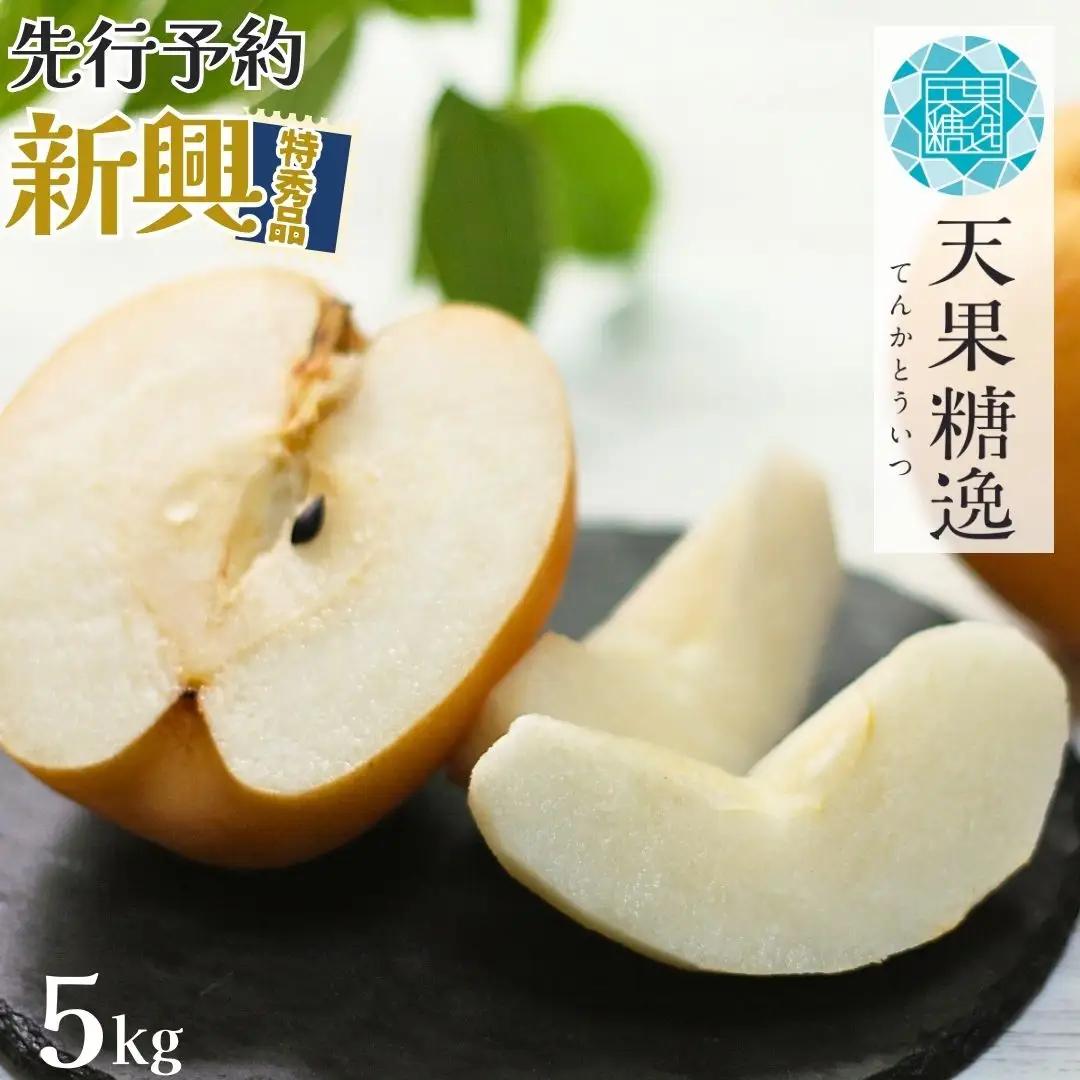 先行予約 和梨 新興 特秀品 約5kg 糖度13度以上を厳選 