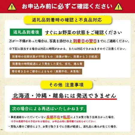 野菜定期便【3ヶ月連続】定期便 旬の野菜詰め合わせ 6～7品以上 ja1