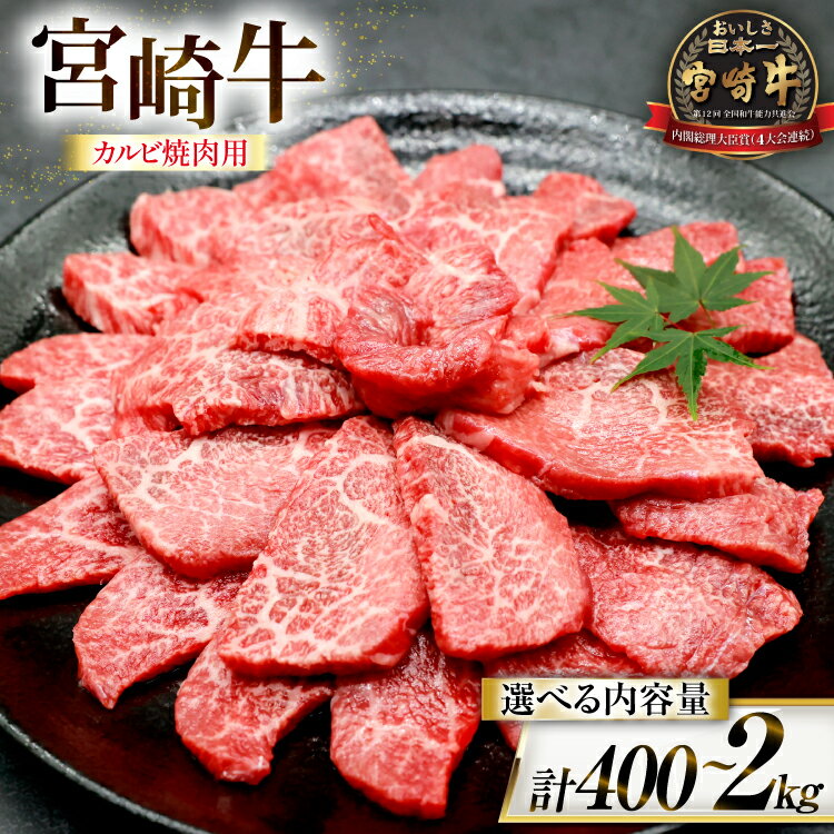 【ふるさと納税】 牛肉 宮崎牛 カルビ 焼肉用 選べる内容量 200g or 500g [ローカルブランディング 宮崎県 日向市 452061416] 冷凍 小分け 黒毛和牛 黒毛 A4 A5 焼肉 焼き肉 BBQ バーベキュー 国産