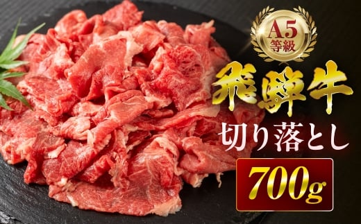 【12回定期便】飛騨牛 A5 切り落とし 700g 訳あり ご自宅用 不揃い 小間切れ 焼肉 BBQ 牛肉 肉 黒毛和牛 国産 最上級 厳選 ブランド牛 お取り寄せ 高級 冷凍 プレゼント ギフト お祝い 記念 中部ミート 岐阜県 大垣市