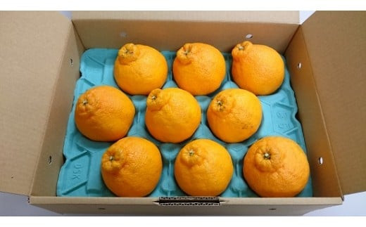 
みかん 愛媛 デコポン（2.4kg） 人気 数量限定 先行予約 柑橘 伊予市｜B32

