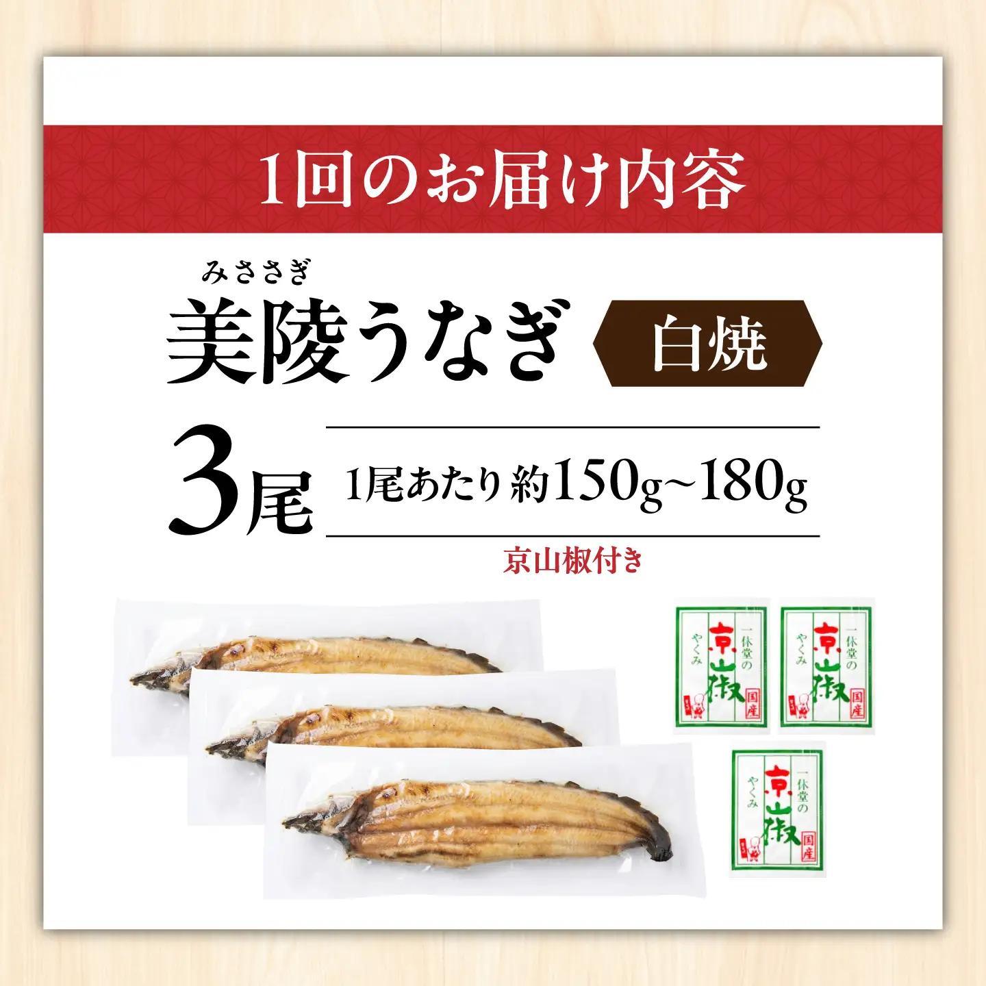 【全6回】鰻 鰻の白焼 3尾 BLAM012