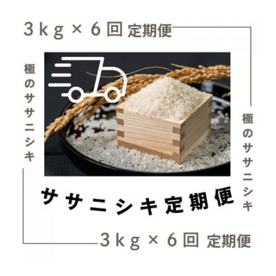 ふるさと納税 新庄市 【毎月定期便】極みのササニシキ(精米)　3kg全6回