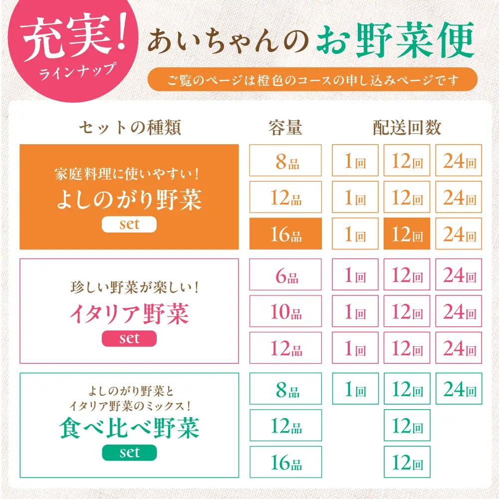 【16品 / 12回定期便】「よしのがり野菜」セット（ラージ）[FAA010]