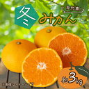 【ふるさと納税】 訳あり みかん 約3kg 冬みかん 蜜柑フルーツ 果物 国産 くだもの 産地直送 人気 お取り寄せ グルメ わけあり 常温 静岡県産みかん 静岡みかん オーガニック 西浦 沼津 静岡 自然農 ふるさと 納税 沼津みかん 美味しい 冬 西浦みかん 混合 静岡県産