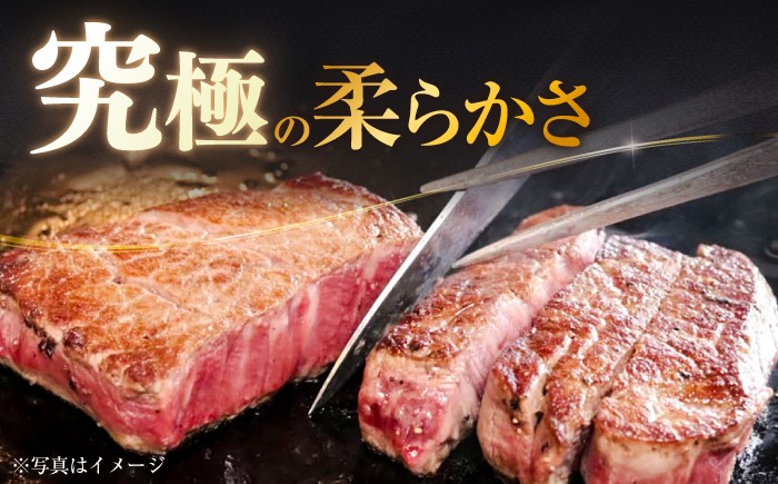 牛肉 希少部位 シャトーブリアン 人気 和牛 極上 赤身 ブランド ヒレ