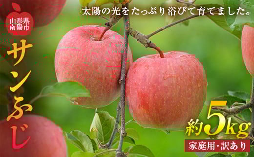 【令和7年産先行予約】 〈訳あり品 家庭用〉 りんご ｢サンふじ｣ 約5kg (13～20玉前後) 《令和7年11月下旬～発送》 『平農園』 リンゴ 果物 フルーツ 産地直送 生産農家直送 山形県 南陽市 [1690]
