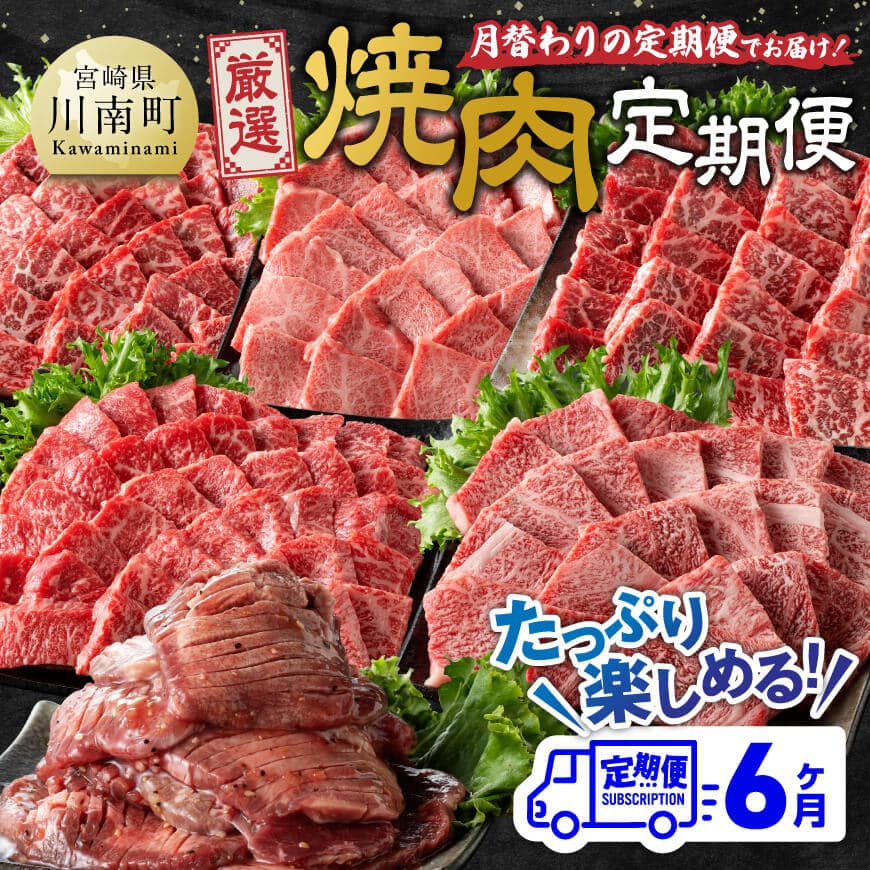 【6ヶ月定期便】厳選焼肉定期便　牛肉 宮崎牛 焼肉[D11107t6]