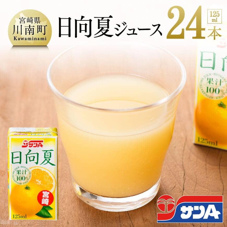 サンA 日向夏ジュース ( 果汁100% ) 125ml×24本セット ジュース 果汁100％ フルーツジュース 紙パック おやつ 日向夏 宮崎県 長期保存 備蓄