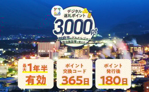 LOCOPAYデジタル返礼ポイント【3,000ポイント】