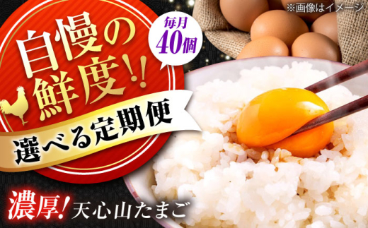 天心山　たまご40個　【回数が選べる定期便】卵 たまご 高級 食品 たまごかけご飯 卵かけご飯 卵焼き 生卵 濃厚 ケーキ お菓子 づくり ランキング 上位 人気 おすすめ 定期便　広島県福山市/天心山ファーム [BABW029]