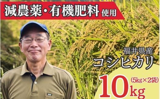 【先行予約】【2026年産】新米 コシヒカリ 白米10kg（精米）※2026年10月上旬以降順次発送予定 [B-096001]