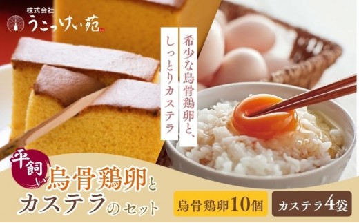 
                  卵 カステラ 静岡 平飼い烏骨鶏の卵10個とカステラのセット 【森町】たまご 生卵 タマゴ お菓子 
                