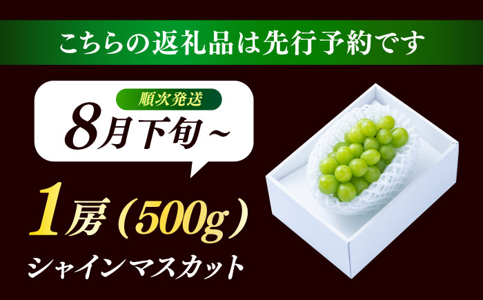 【先行予約・25年8月以降発送】日田産シャインマスカット1房(約500g)　日田市 / 南国フルーツ株式会社 ブドウ 葡萄 ぶどう [ARET004]