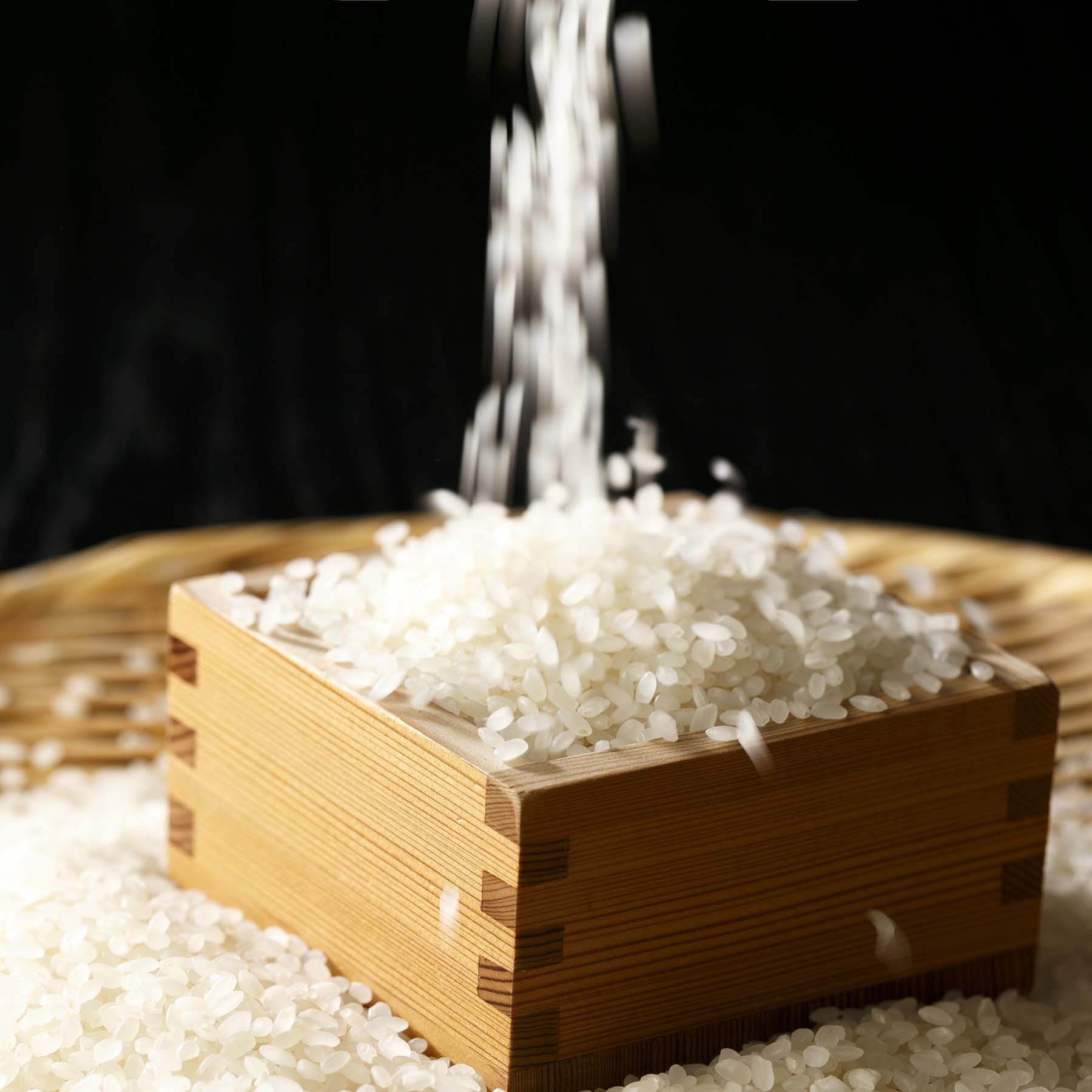 こだわり特別栽培米セットA 5kg×2袋 定期便3回