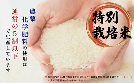 令和7年産 新米 特別栽培米 ゆめぴりか 2kg【ナナプラザ】米 お米 北海道産 北海道米 特Aランク 国産 白米 コメ 北海道 比布町 ぴっぷ 1021-011