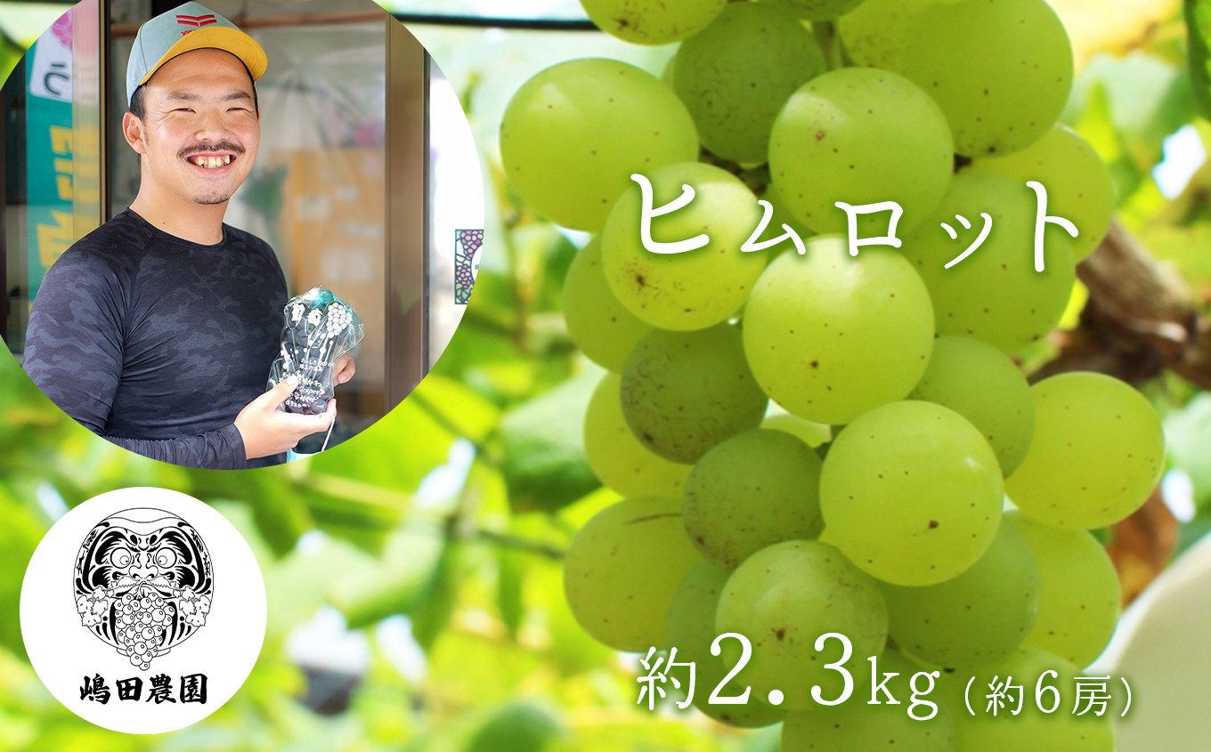 
ぶどう ヒムロット 約2.3kg
