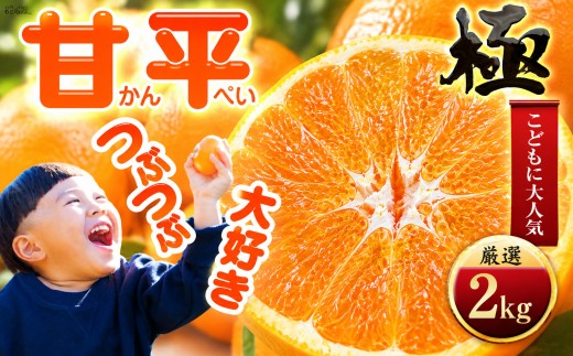 【先行受付】【売切れ前に!】シャキシャキ甘い♪♪【甘平】2kg　愛媛県産 【D49-63】 みかん ミカン 柑橘 甘平 かんぺい 果物 くだもの フルーツ 甘い 希少 愛媛 デザート 愛媛みかん 密柑