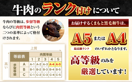 くまもと黒毛和牛 希少部位 500g 黒毛和牛《7-14日以内に出荷予定(土日祝除く)》