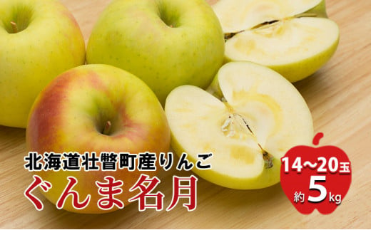 
[№5724-0674]＜2024年11月中旬よりお届け＞北海道壮瞥町 りんご「ぐんま名月」14～20玉約5kg 果物 フルーツ くだもの
