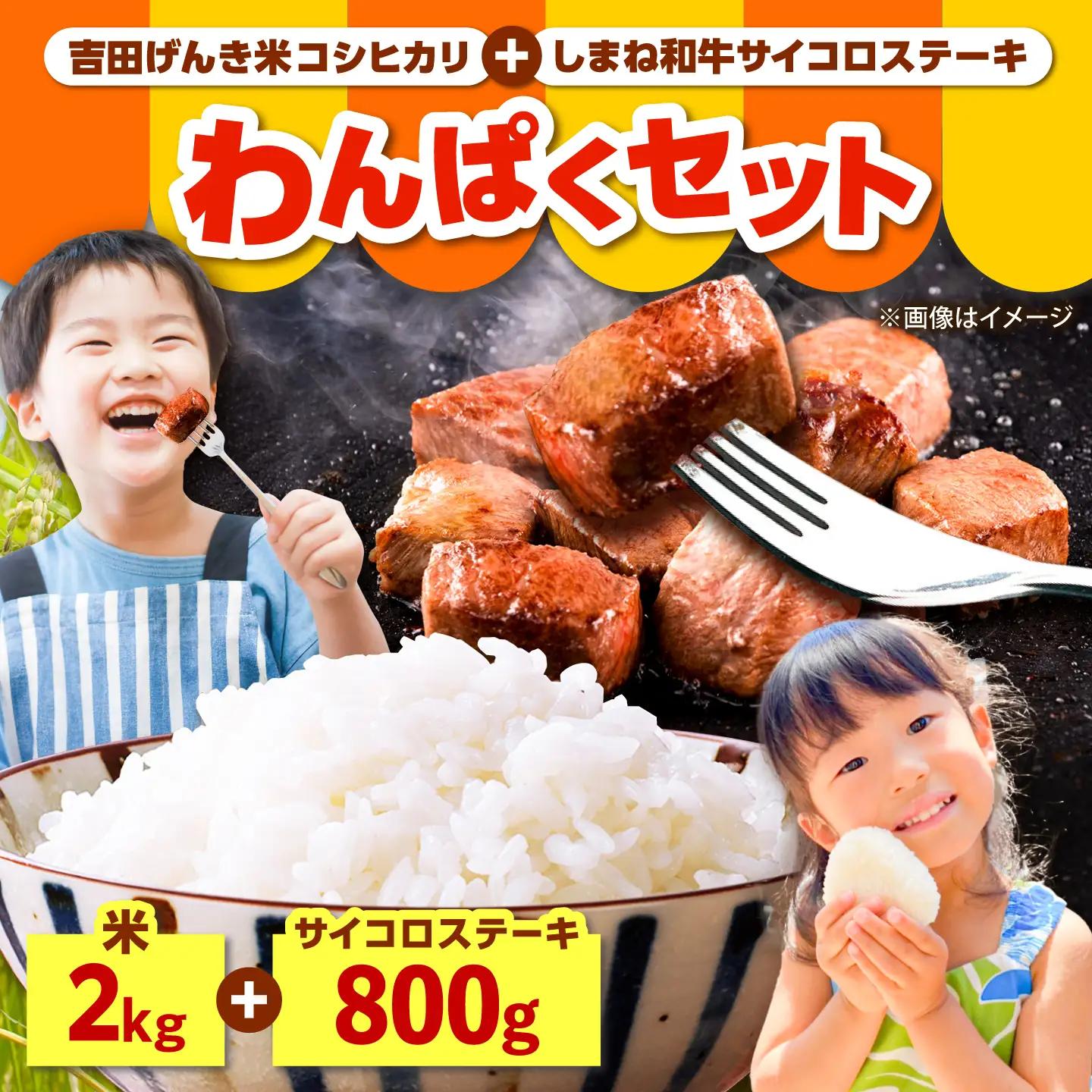 【ふるさと納税限定】わんぱくセット＜C＞しまね和牛サイコロステーキ 800g・吉田げんき米コシヒカリ（令和7年産×2kg）ステーキ 米 [AIDN013]