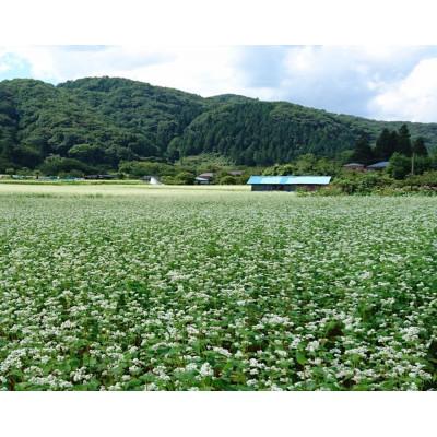 ふるさと納税 仙台市 「秋保在来そば」乾麺(小)・そば枕(小)セット【Aセット】 |  | 03