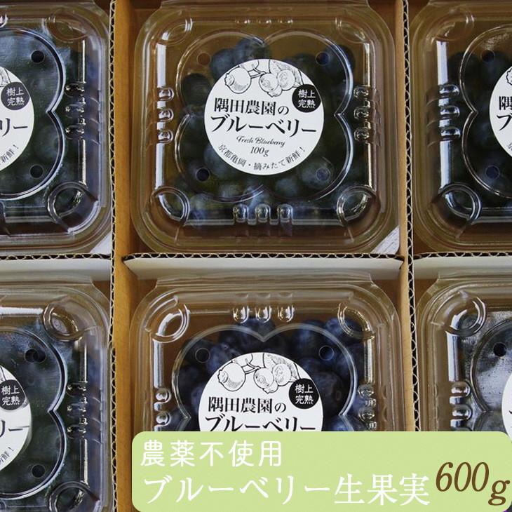 
                  朝摘み ブルーベリー 生果実 600g 栽培期間中農薬不使用 ＜すだ農園＞◇ ｜ 果実 新鮮フルーツ 冷蔵 ※2026年7月～発送
                