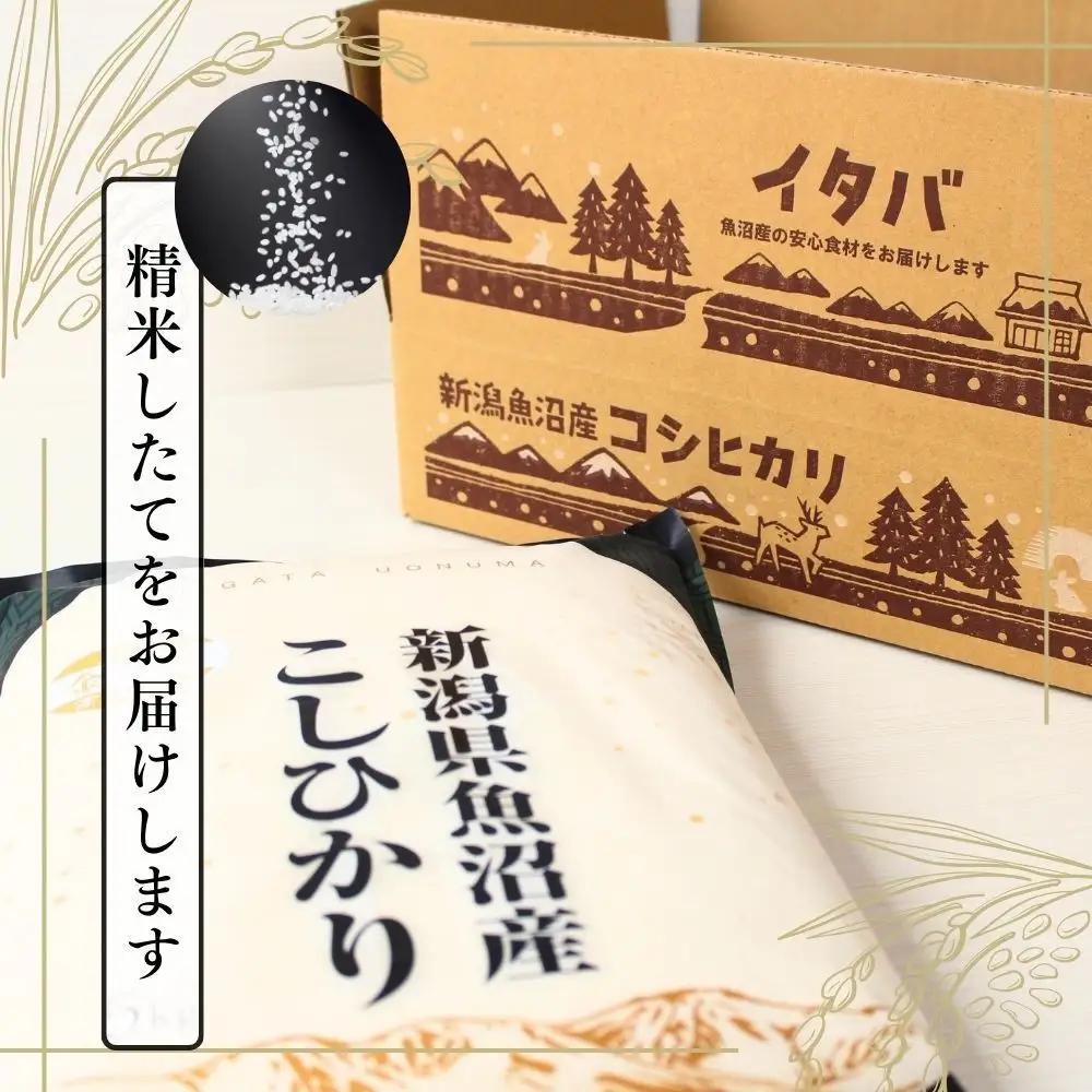 3ヶ月定期便 魚沼産コシヒカリ 金印 高食味米 5kg 有限会社イタバ |津南町 魚沼 令和7年