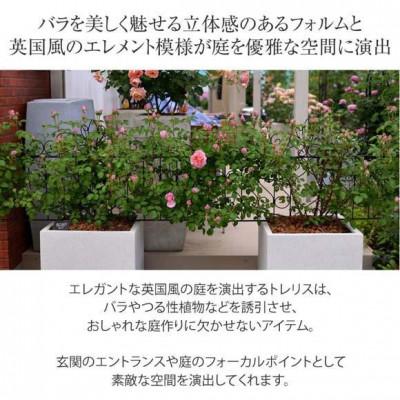 ふるさと納税 海南市 デザイントレリス 885 4枚組　36442800 |  | 02