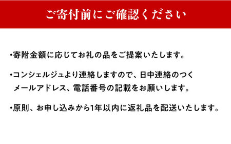 【あなただけの特別プラン】返礼品 おまかせ ！寄付額 50万円 コンシェルジュ　コース《対馬市》 500000 オーダーメイド おすすめ おまかせ 定期便[WZZ007]