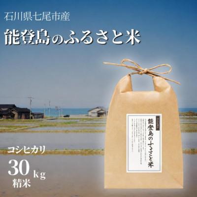ふるさと納税 七尾市 【令和8年産】能登島のふるさと米　コシヒカリ30kg　精米