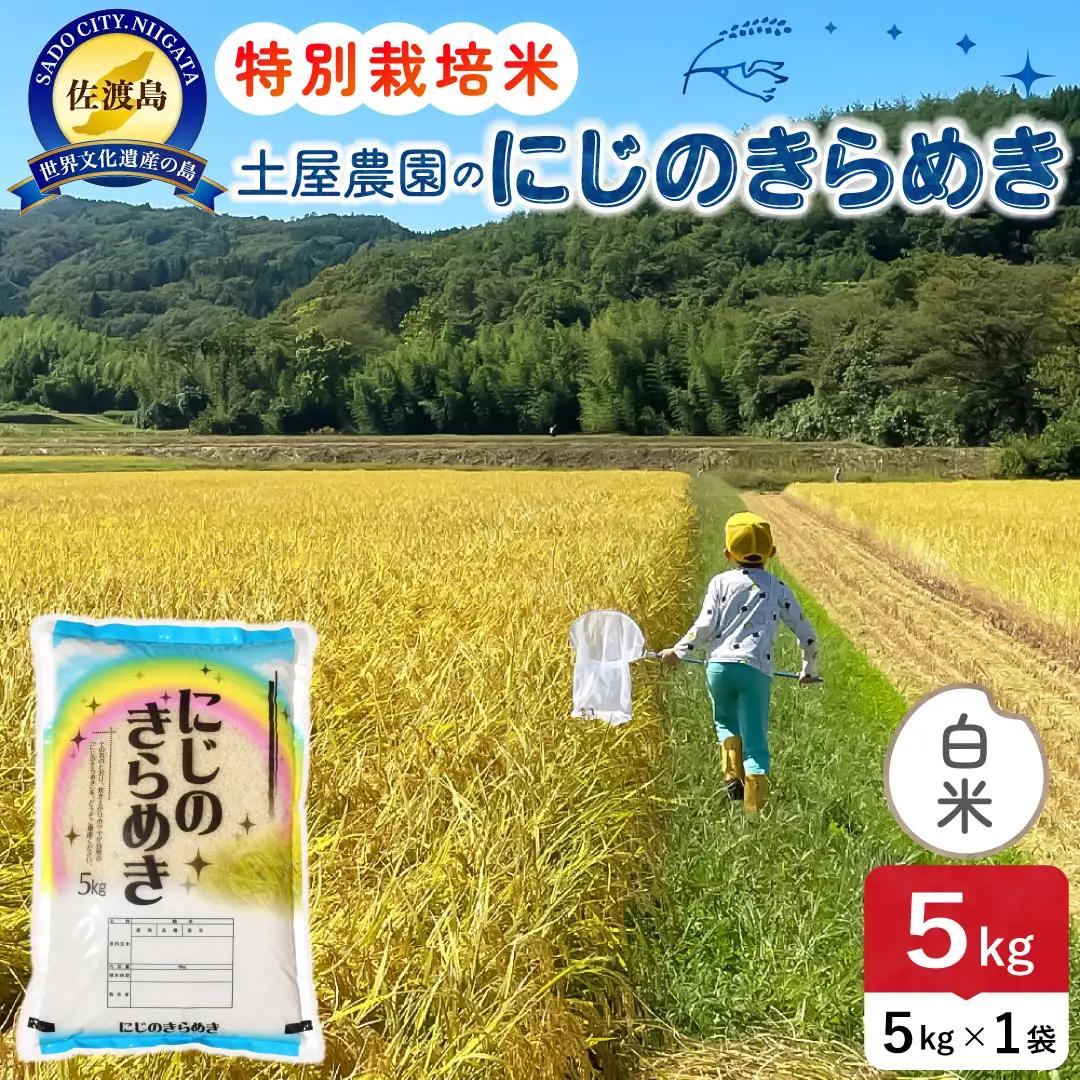 佐渡島産にじのきらめき 白米 5kg 令和8年産 特別栽培米 土屋農園 195962-041302