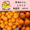 【ふるさと納税】訳あり温州みかん 家庭用 箱込み10kg (Sサイズ指定)