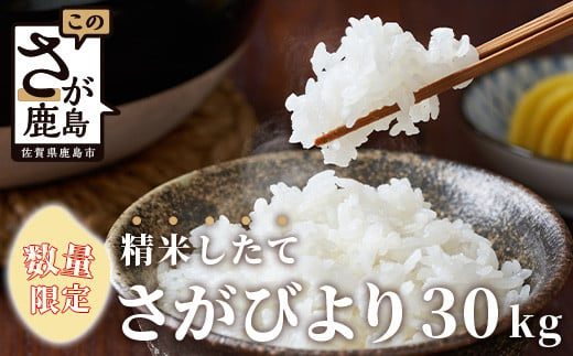 E-73 令和6年産 佐賀県産 さがびより 白米30kg お米マイスターセレクト！